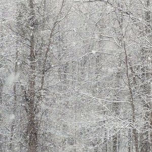 Meet your Posher, Krista